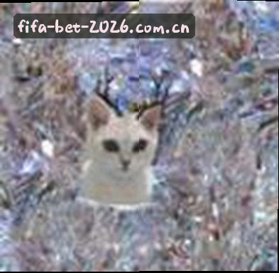 陈静